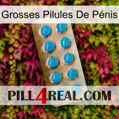 Grosses Pilules De Pénis new09